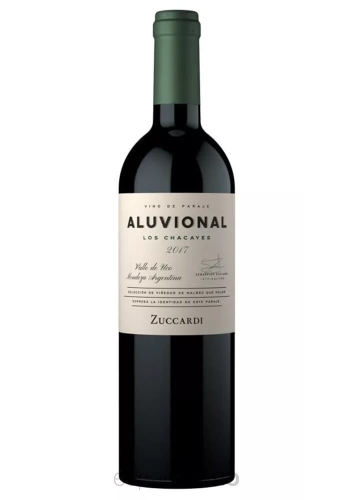 Aluvional Los Chacayes